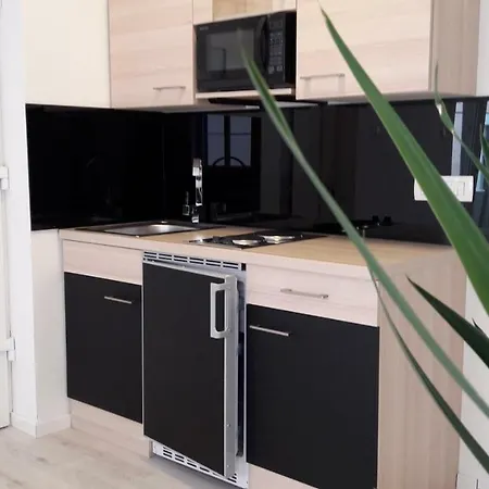 Downtown Park Suites Apartment *